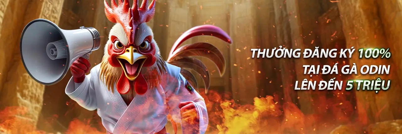 Hình ảnh chính blog mi88 win với các tin tức cá cược và chiến lược mới nhất